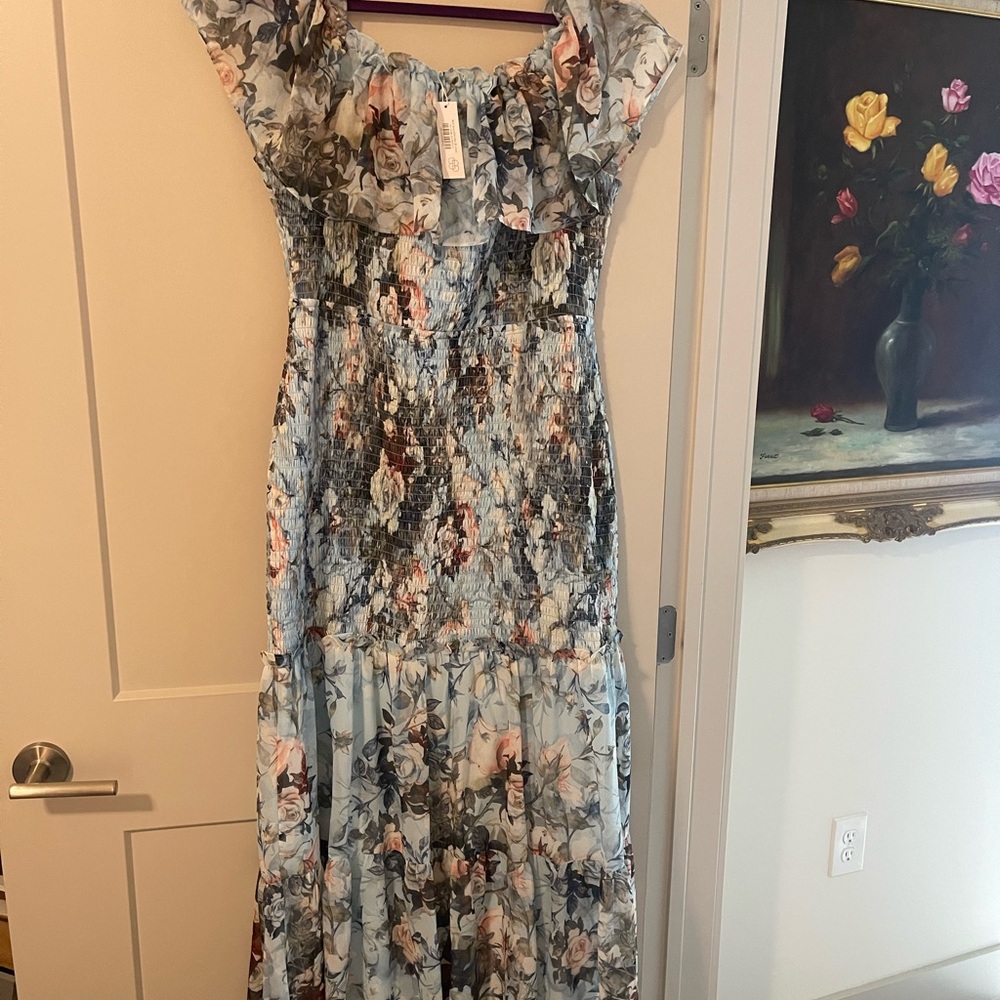 Baltic Born Blue and Pink Floral Maxi Dress